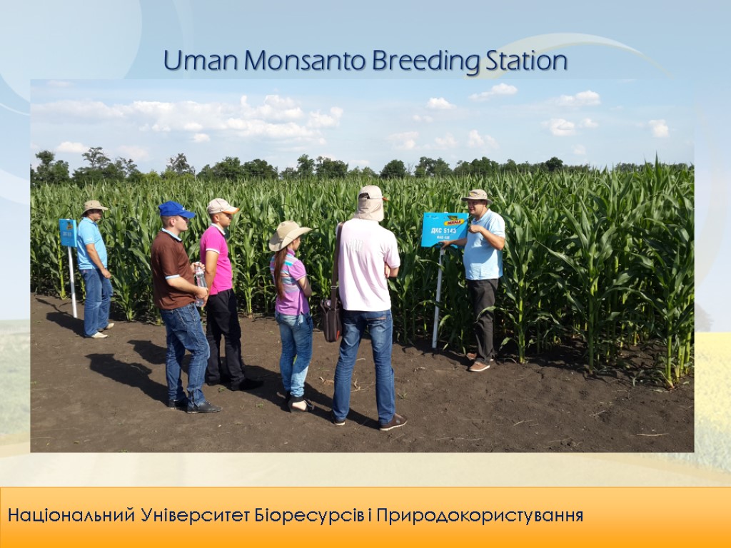 Uman Monsanto Breeding Station Національний Університет Біоресурсів і Природокористування